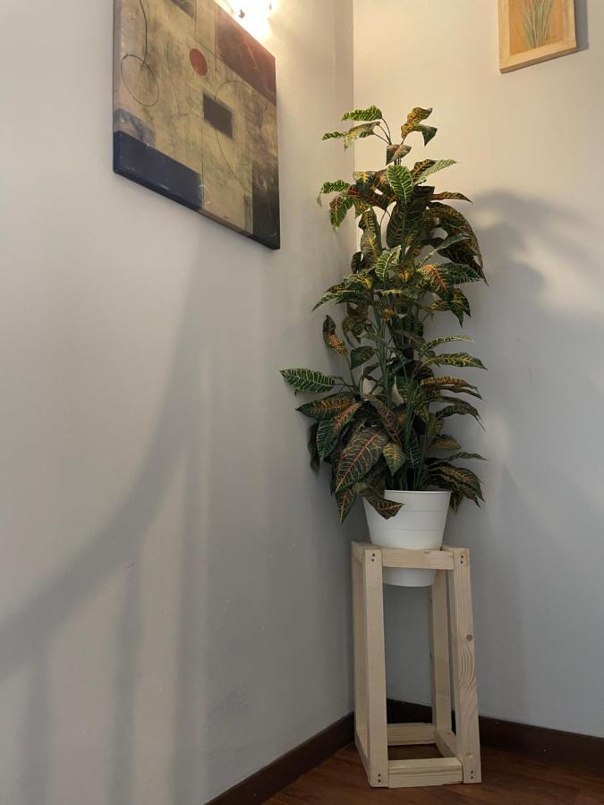 Hostal El Nuevo Salau Cudillero Εξωτερικό φωτογραφία